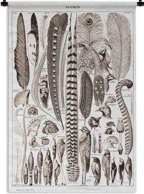 Produktbild von MuchoWow® Wandteppich Wandbehang Tiere - Federn - Schwarz - Weiß 90x135 cm Tapisserie Dekoration Wandtuch - Baumwolle - Wandskulptur
