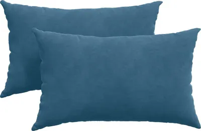 Image de vidaXL Coussins de canapé 2 pièces bleu 50 x 30 cm tissu velours côtelé