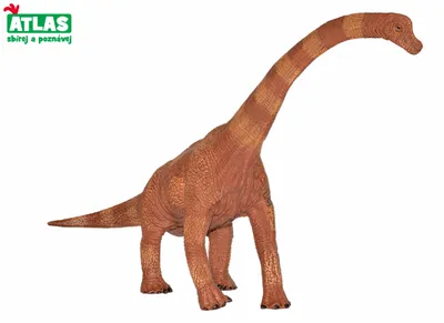 Produktbild von G - Figur Dino Brachiosaurus 30 cm