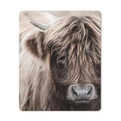 Produktbild von MuchoWow® Mauspad Mousepad Schottischer Highlander - Tier - Hoorn 30x40 cm - Mousepads - Maus Mat - Pad - Mausunterlage - Mausmatten