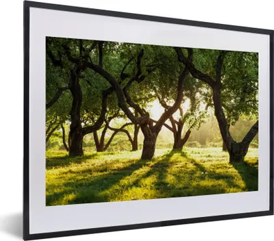 Produktbild von MuchoWow® Gerahmtes Poster Bäume - Natur - Sonne 40x30 cm - Poster mit Schwarzem Bilderrahmen Wandposter Rahmen Foto Bilder - Bilderrahmen - Poster im Rahmen