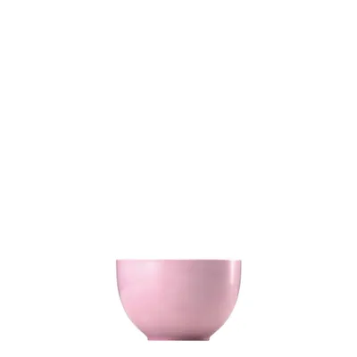 Obrázek produktu pro Thomas 10850-408533-15456, Porcelán, 0,45 l