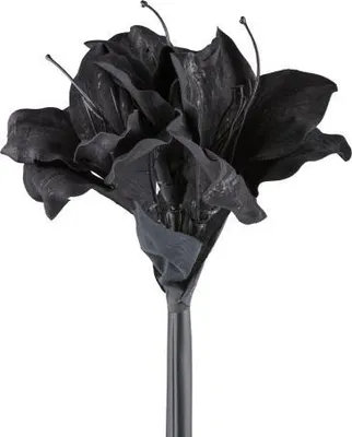 Produktbild von GASPER Amaryllis - Ritterstern Schwarz wie die Nacht 50 cm - Kunstblumen