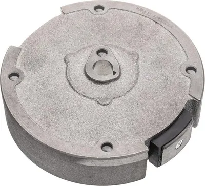 Obrázek produktu pro Magnetické kolo Zongshen 168FB 100009503