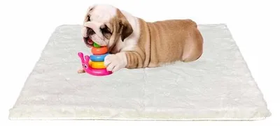 Produktbild von Mittelgroßes Hundebett 76x54cm, Flauschige Hundematte, Waschbar, Antirutsch, Beige