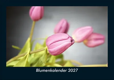 Produktbild von Blumenkalender 2027 Fotokalender DIN A5