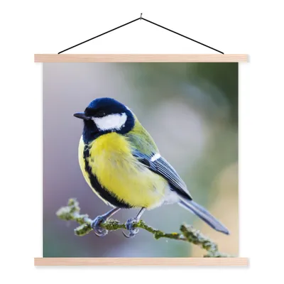 Produktbild von MuchoWow® Textilposter Kohlmeise - Vogel - Zweig 40x40 cm mit holzfarbenen Rahmen - Posterleiste