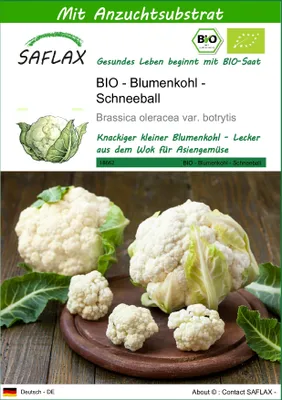 Produktbild von SAFLAX - BIO - Blumenkohl - Schneeball - Brassica oleracea var. botrytis - 70 Samen - Mit keimfreiem Anzuchtsubstrat