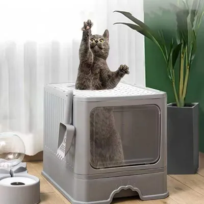 Produktbild von Katzentoiletten, Katzenklo, Katzentoilette, 2 Öffnungen, Haubentoilette, inklusive Schaufel, Cat Litter Box, faltbar, grau