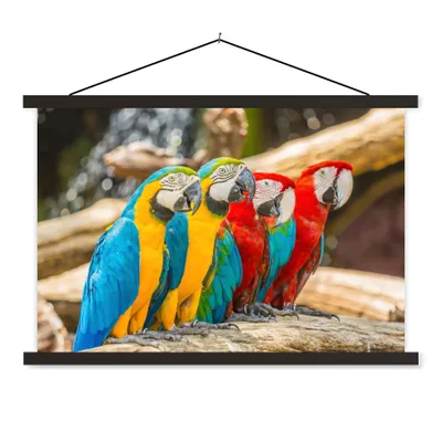 Produktbild von MuchoWow® Textilposter Vögel - Papagei - Tropisch - Natur 150x100 cm mit schwarzem Rahmen - Schlafzimmer