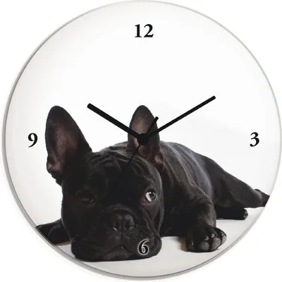 Produktbild von ARTland Glas Wanduhr Funkuhr - schwarzer Zeiger Bulldogge Größe: 30x30 cm