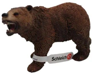 Image de Ours grizzly