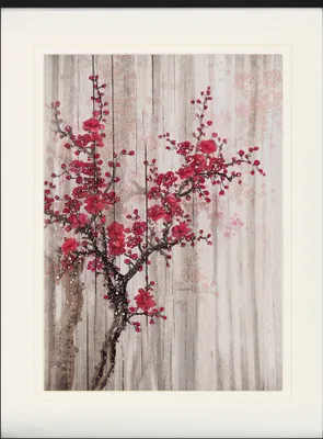 Produktbild von Frühling Gerahmtes Bild Mit Edlem Passepartout | Wand-Bilder | Im Bilderrahmen - Rote Quittenblüten (80 x 60 cm)