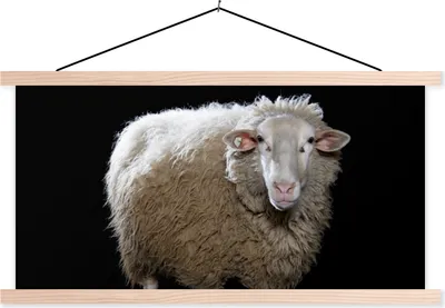 Produktbild von MuchoWow® Textilposter Schafe - Nutztiere - Schwarz 120x60 cm mit holzfarbenen Rahmen - Klemmleiste