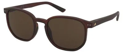 Produktbild von Sonnenbrille Alpina Dimont Brown-Transparent Matt/Brown