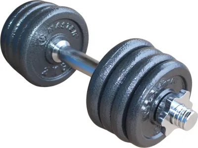 Immagine prodotto di Caricamento manubri MASTER 15 kg