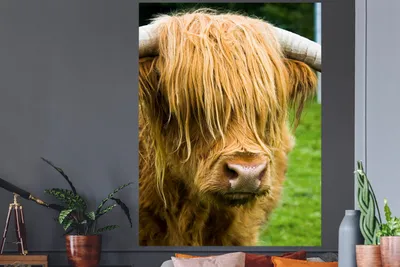 Produktbild von MuchoWow® - Wierderverwendbar - Selbstklebend
