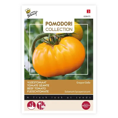 Obrázek produktu pro Buzzy Tomatoes Fleischtomate Yellow Grappa Samen - cca 1,5 gr | Buzzy_028475