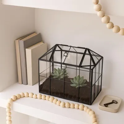 Produktbild von Terrarium für Zimmerpflanzen - Gewächshaus aus Glas in Hausform
