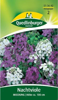 Produktbild von Nachtviole, Mischung