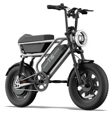 Immagine prodotto di Bici Elettrica | URLIFE | T16 | 48V13Ah 16" Freno a Disco eBike - Argento