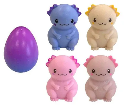 Image de Johntoy élève des œufs d'axolotl