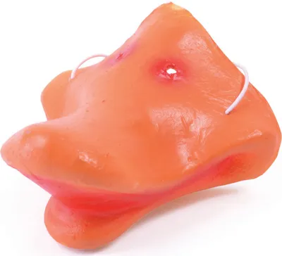 Produktbild von Rubies Enten Nase Kostümzubehör für Erwachsene und Kinder an Fasching und Karneval