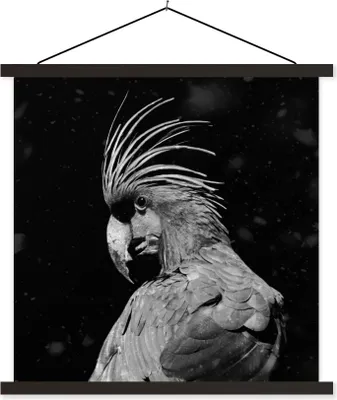 Produktbild von MuchoWow® Textilposter Porträt eines Goldkakadus auf schwarzem Hintergrund - schwarz und weiß 60x60 cm mit schwarzem Rahmen - Posteraufhänger