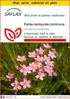 Image de SAFLAX Ensemble de culture - Petite-centaurée commune - 250 graines - Centaurium