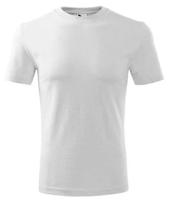 Image de Malfini - T-shirt « Classic New » pour homme PP12865 (XXL) (blanc)