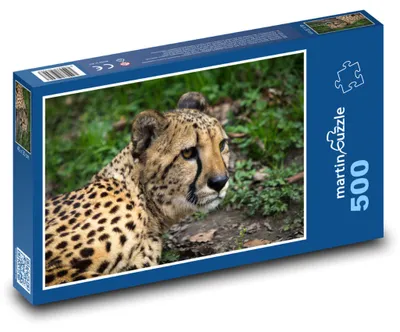 Obrázok produktu pre martinpuzzle – Puzzle 500 – Leopard v lese