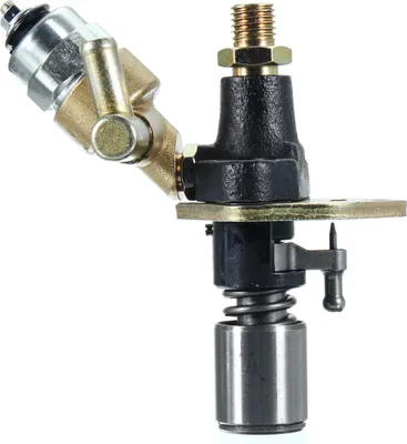 Immagine prodotto di Pompa iniezione carburante con solenoide per motore 186 186F 406cc alternatore