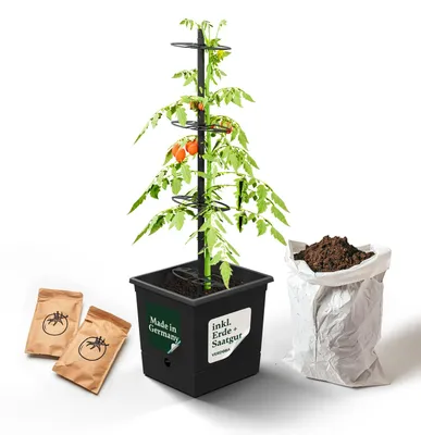 Produktbild von Nachhaltiger Tomatentopf Tomaten Anzuchtset Saatgut & Erde - Rankhilfe