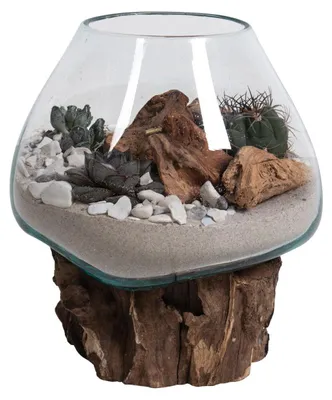 Zdjęcie produktu dla Terrario San Marino w szklanej kopule na podstawie z korzenia tekowego 18x20 cm