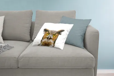 Produktbild von MuchoWow® Zierkissen Sofakissen Wohnzimmer Dekokissen 60x40 cm Eule - Vogel - Porträt - Kopfkissen - Polster mit Foto