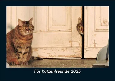 Produktbild von Für Katzenfreunde 2025 Fotokalender DIN A5