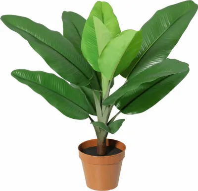 Produktbild von Philodendron Jungle King Kunstpflanze 45cm Tropische Deko Pflanze Pflegefreie