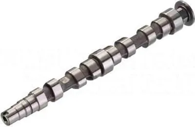 Produktbild von Kolbenschmidt Nockenwelle 50006155