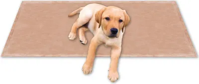Immagine prodotto di Coperta per animali domestici Supersoft, dimensioni: 90x140cm, colore: beige sabbia