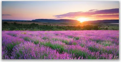 Produktbild von Tulup Leinwand-Bilder 120x60 Wandbild Canvas Kunstdruck Sonne Wiese Blumen Natur
