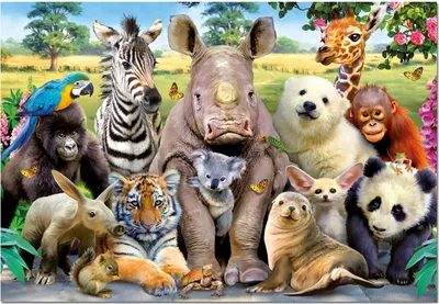 Image de Educa 15517, Drôles d'animaux du zoo, puzzle de 1000 pièces pour adultes et enfants à partir de 10 ans, puzzle animalier
