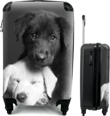 Produktbild von MuchoWow® Koffer Handgepäck Trolley Rollkoffer Kleine Reisekoffer mit 4 Rollen - Hunde - Welpe - Schwarz - Weiß - Tiere - Cabin Size < 55x40x23 cm & 55x40x20 cm - Fotokoffer - Kabinenkoffer - Boardgepäck - Reise-Box - Reisekoffer - Reisegepäck - Koffer mit Bild - Trolley für Kinder