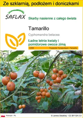 Zdjęcie produktu dla SAFLAX - Zestaw do uprawy - Tamarillo - 50 Nasiona - Z mini szklarnią, podłożem uprawowym i 2 doniczkami - Cyphomandra betacea