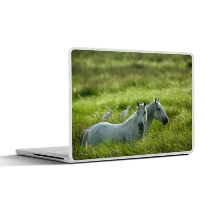 Produktbild von MuchoWow® Laptop Aufkleber Sticker Cover Pferde - Vogel - Gras 32.5x23.5 cm - Sticker für Laptop - Selbstklebend
