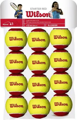 Image de Balons Wilson Stage 3 Starter Easy WRT137100