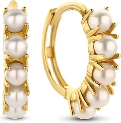 Produktbild von Jackie Gold Jackie JKE22.220 Dames Oorringen JKE22.220 Ohrringe