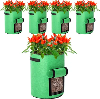 Immagine prodotto di TolleTour Sacchetto per piante Sacchetto per piantine Patate Pomodori Arachidi Tessuto non tessuto Traspirante Sacchetto per piante Sacchetto per verdure 5 pezzi 10 galloni Verde