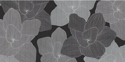 Produktbild von Tadessi Fototapete | Blumen | 5.00 m x 2.50 m | Grau | Weiß | Wandbild | Digitaldruck