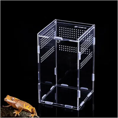 Productafbeelding van Reptielen Voederbox 20x12x12 cm, Mini Terrarium, Transparant Acryl, 360° Panorama, Voor Hagedissen