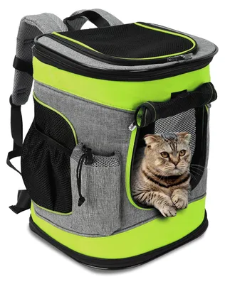 Haustier-Rucksack, faltbar, für Katzen & kleine Hunde, Grün/Grau